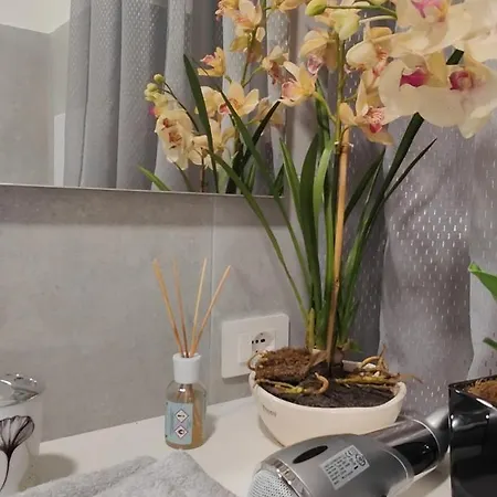 Casa Sussurro Dei Venti Apartment